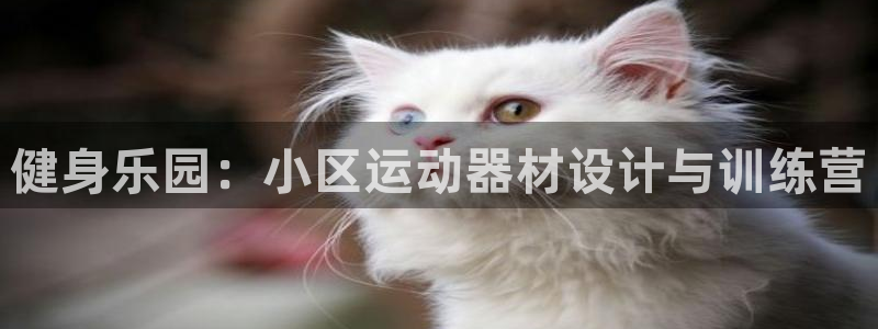 意昂5(KGAME)娱乐是那个系列的台子:健身乐园:小区运动