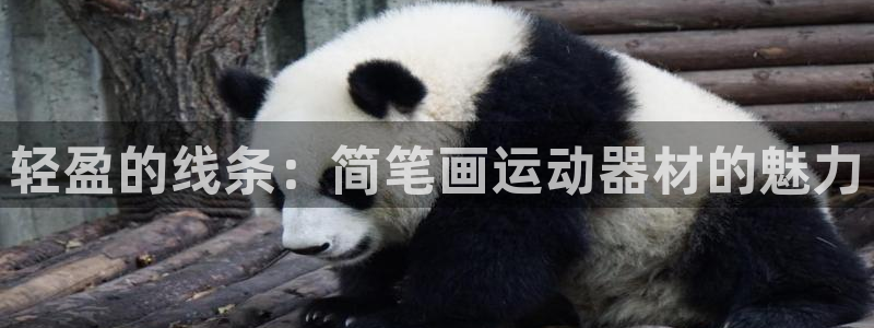 意昂体育5(KGAME)招商电话号码是多少啊:轻盈的线条:简