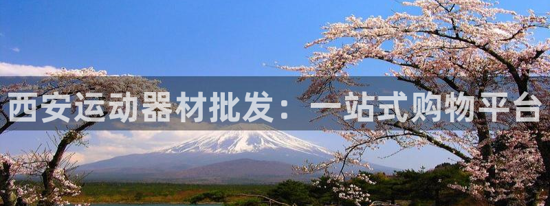 意昂体育5(KGAME)招商电话是多少啊:西安运动器材批发: